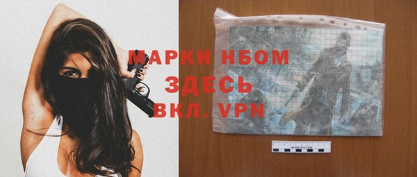 шишки Беломорск