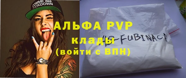 сатива Балахна