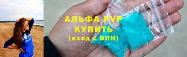 сатива Балахна