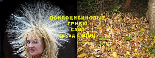 дживик Баксан