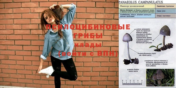 тгк Балабаново