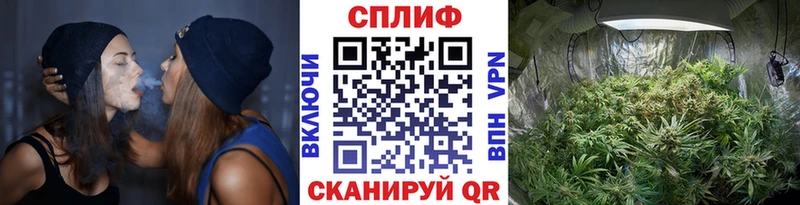 мориарти Telegram Обь Каннабис сатива наркошоп